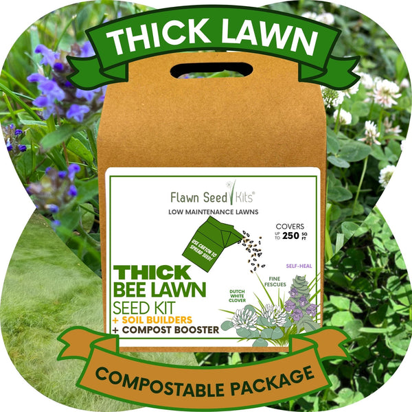 🌼 Thick Bee Lawn Seed Kit – Eco-Friendly Flowering Lawn in a Carton