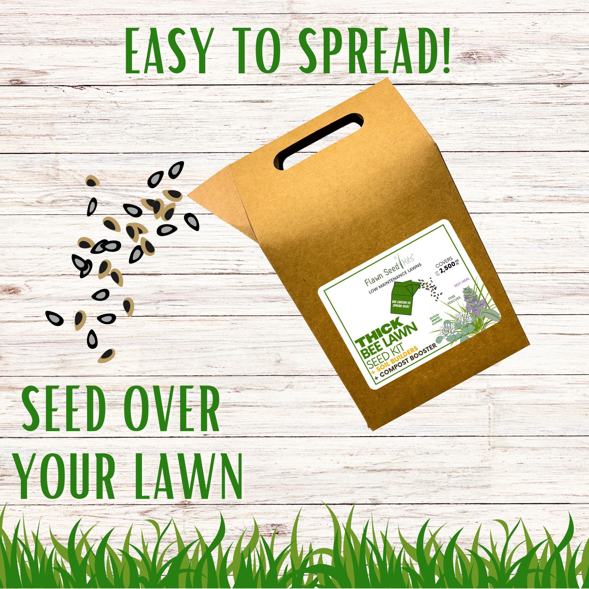 🌼 Thick Bee Lawn Seed Kit – Eco-Friendly Flowering Lawn in a Carton