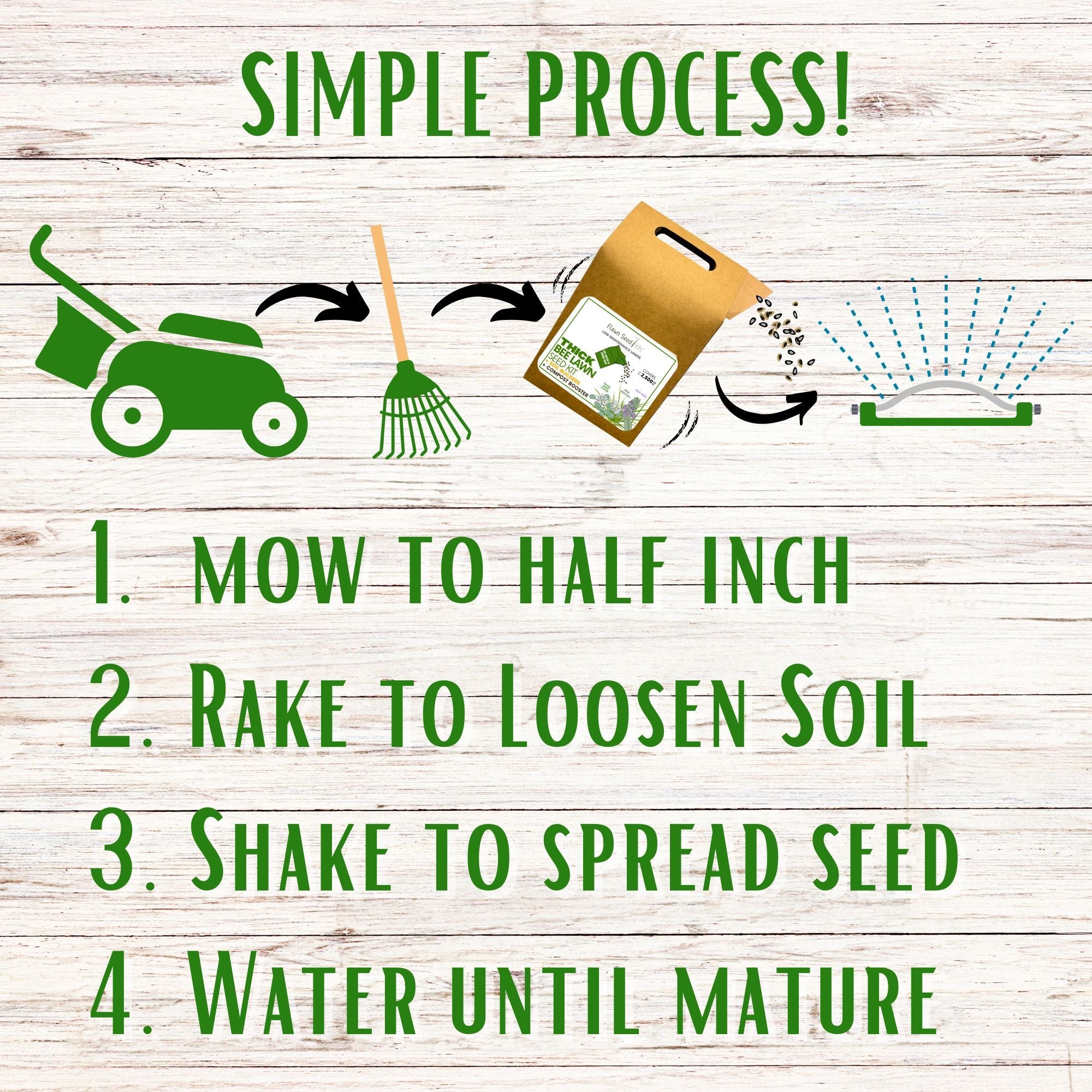 🌼 Thick Bee Lawn Seed Kit – Eco-Friendly Flowering Lawn in a Carton