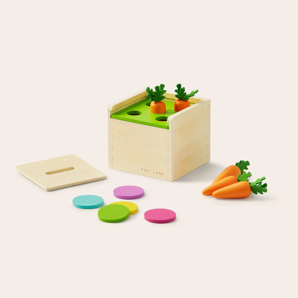 Wooden toy with colorful discs and carrot figures on a light beige background