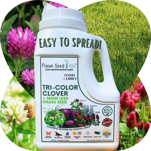 🌿 TRI‑Color Clover + Mow Less Grass Seed – Pollinator‑Friendly Lawn Solution