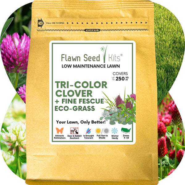 🌿 TRI‑Color Clover + Mow Less Grass Seed – Pollinator‑Friendly Lawn Solution