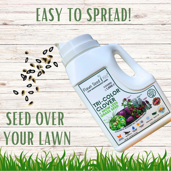 🌿 TRI‑Color Clover + Mow Less Grass Seed – Pollinator‑Friendly Lawn Solution