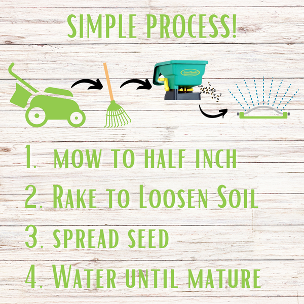 Micro Clover + Mow Less Grass Seed