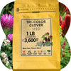 Tri-Color Clover Seed Blend