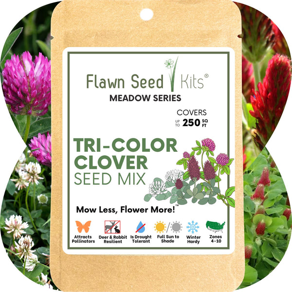 Tri-Color Clover Seed Blend