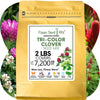 Tri-Color Clover Seed Blend