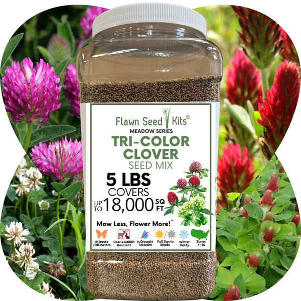 Tri-Color Clover Seed Blend