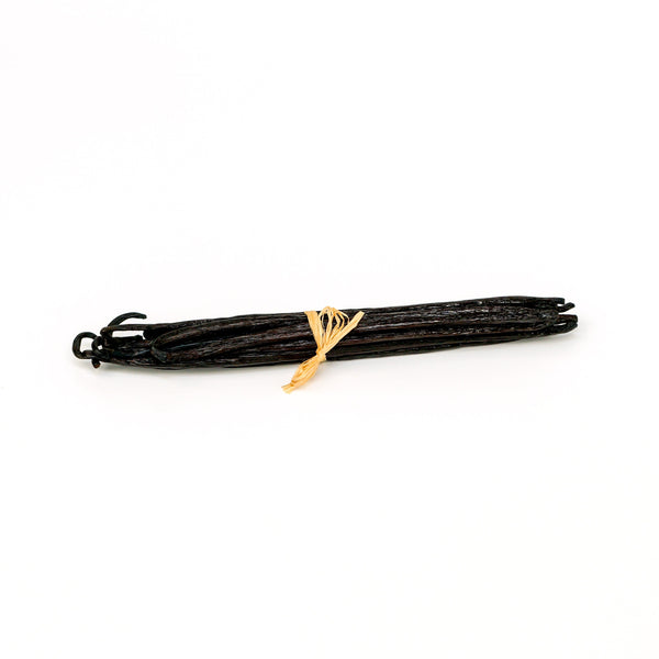Bunch of vanilla beans tied with a yellow string on a white background