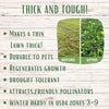 Thick Bee Lawn Seed Kit: Grow a Lush, Pollinator-Friendly Lawn