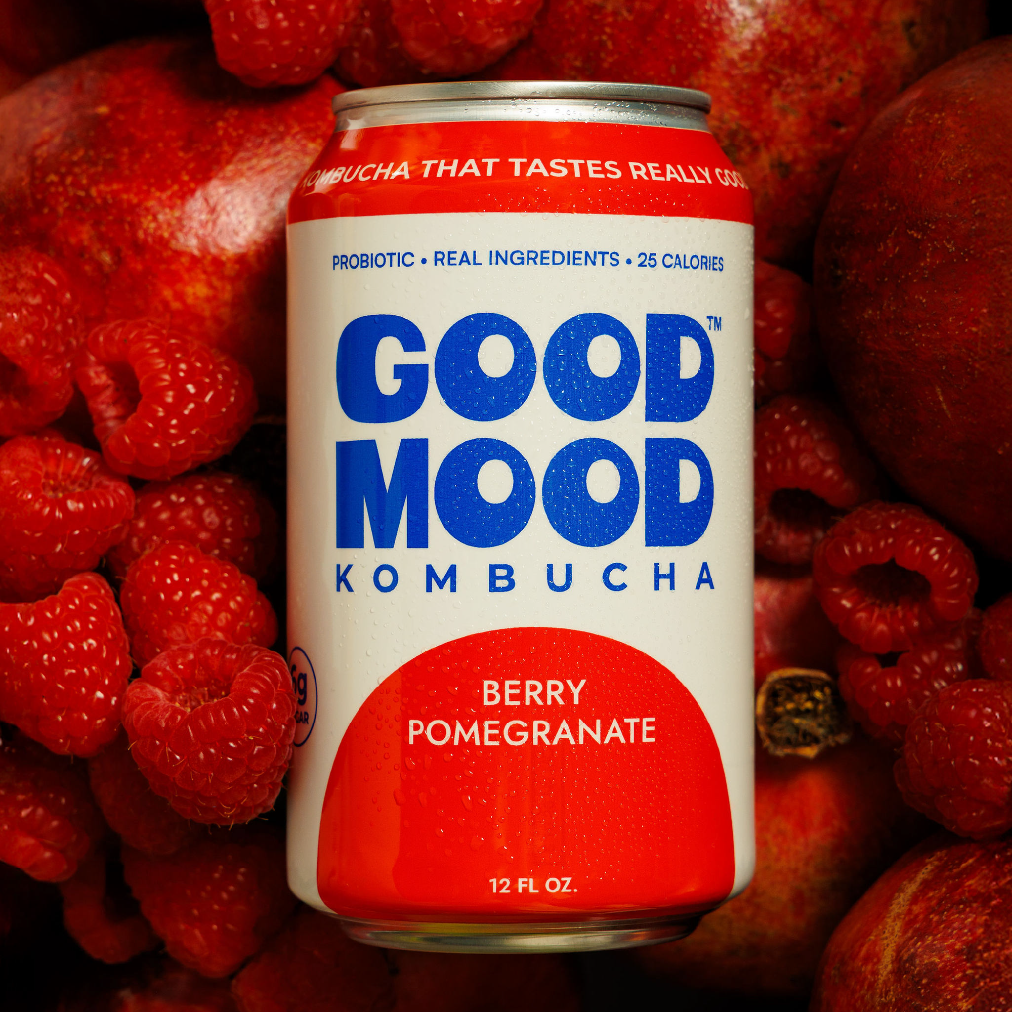 GoodMood Kombucha Juicy Bounce Pack flavor tile