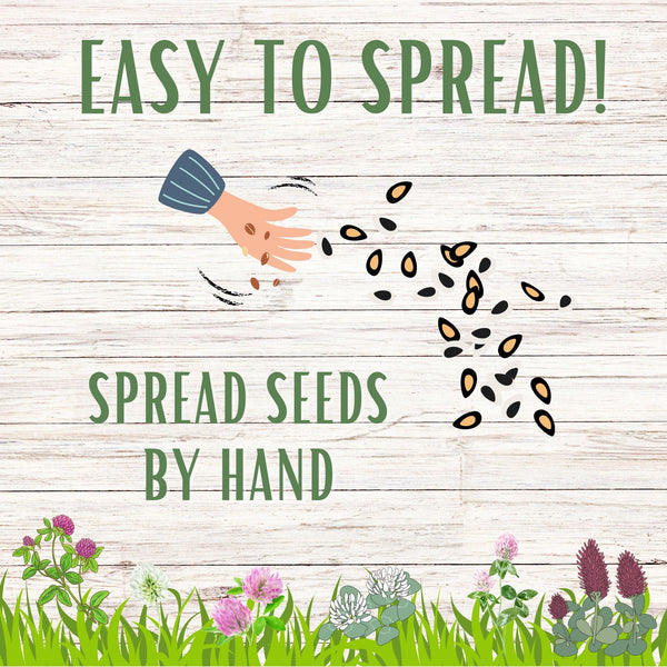 Tri-Color Clover Seed Blend