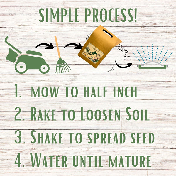 Lawn care instructions with gardening tools and a seed packet on a wooden background