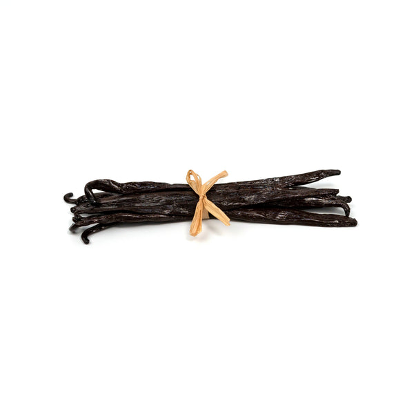 Bunch of vanilla beans with a wooden pod on a white background