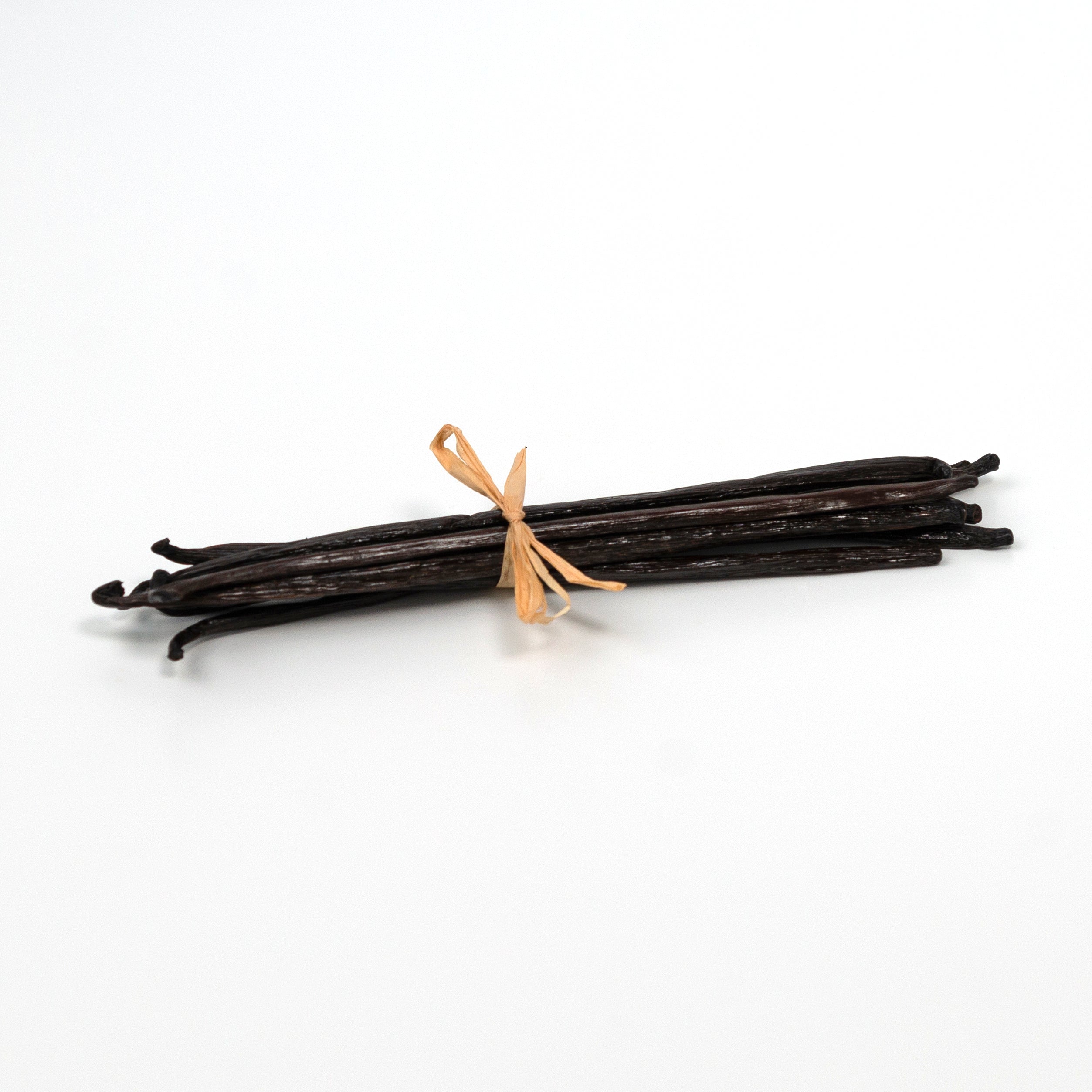 Bunch of vanilla beans tied with a ribbon on a white background