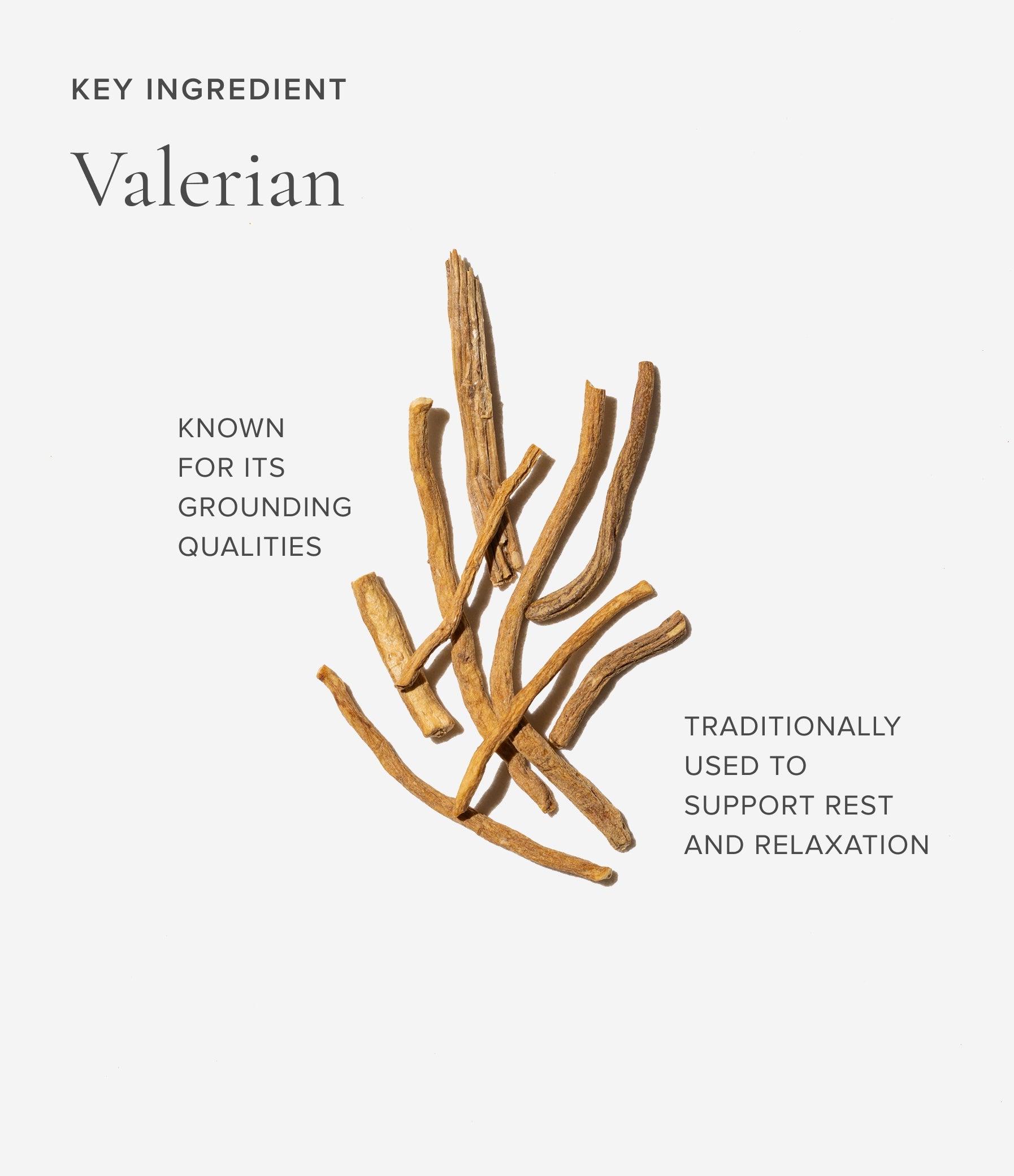 Valerian roots with text about its grounding qualities and relaxation support on a light gray background