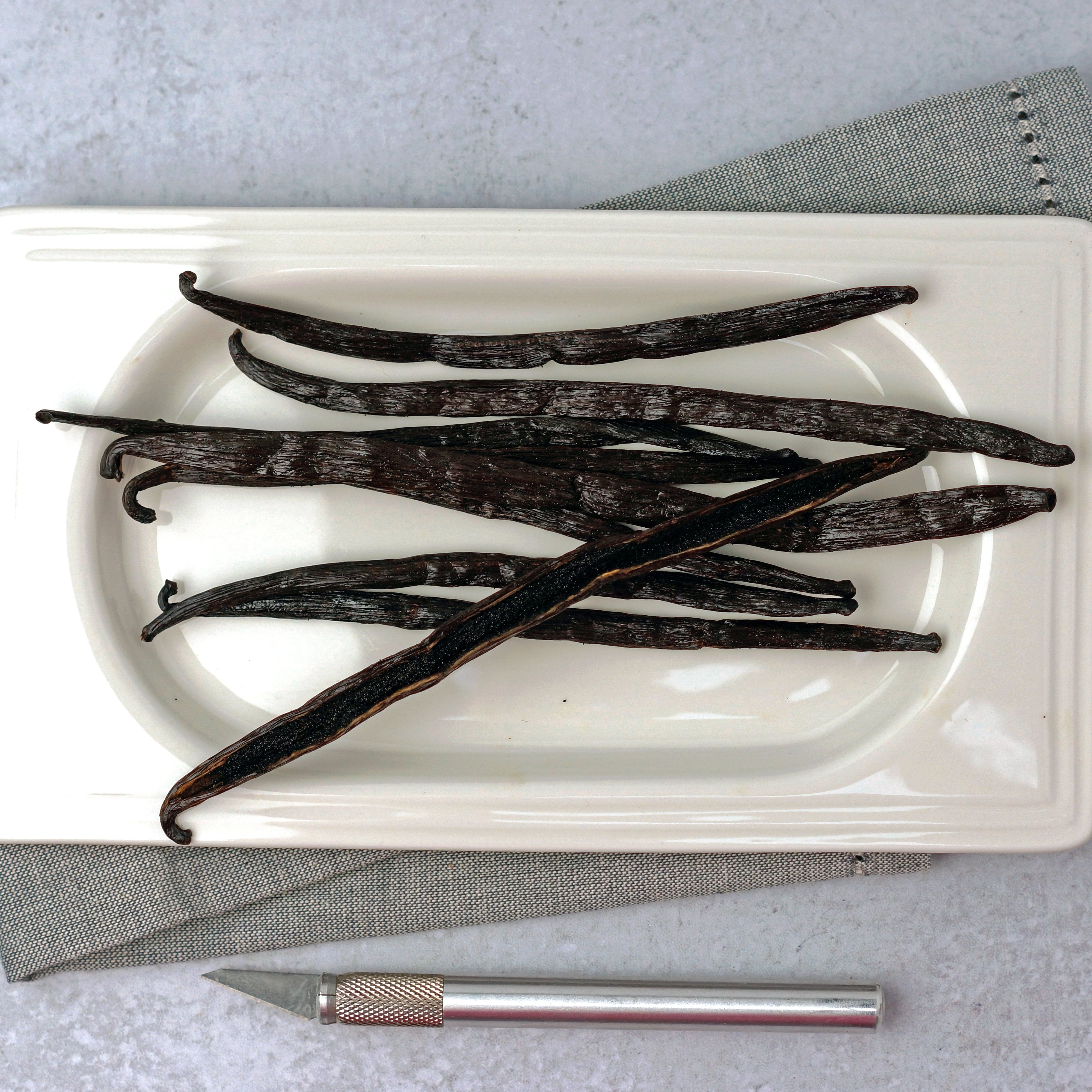Vanilla beans on a white plate with a metal tool on a gray surface