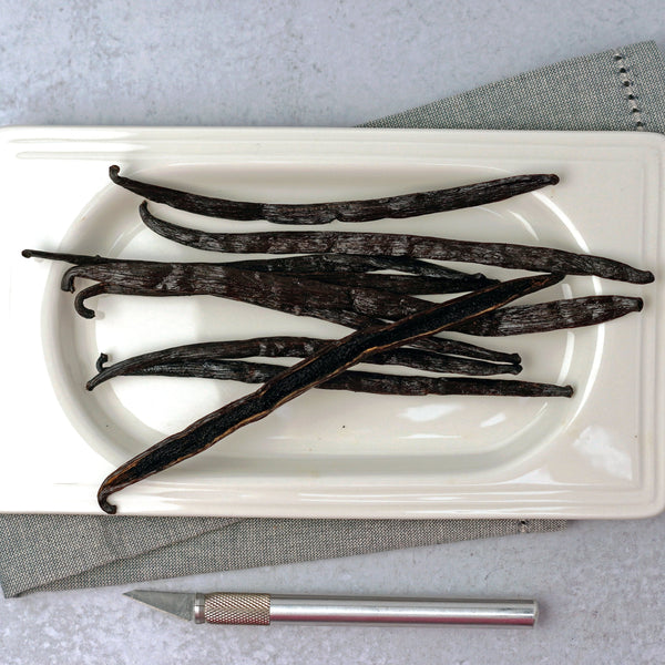 Vanilla beans on a white plate with a metal tool on a gray surface