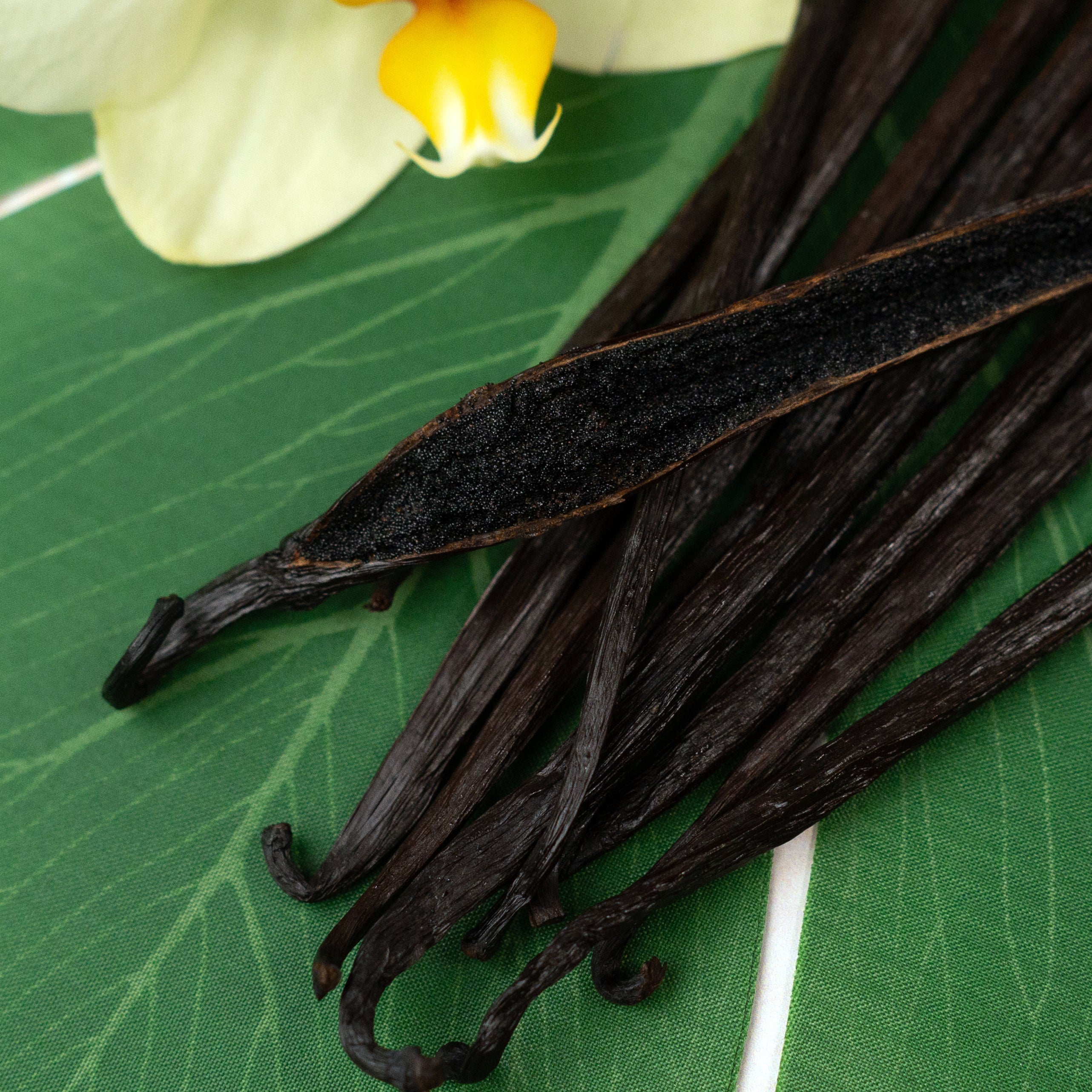 Hawaiian Grade A Vanilla Beans - Proudly Grown in the USA