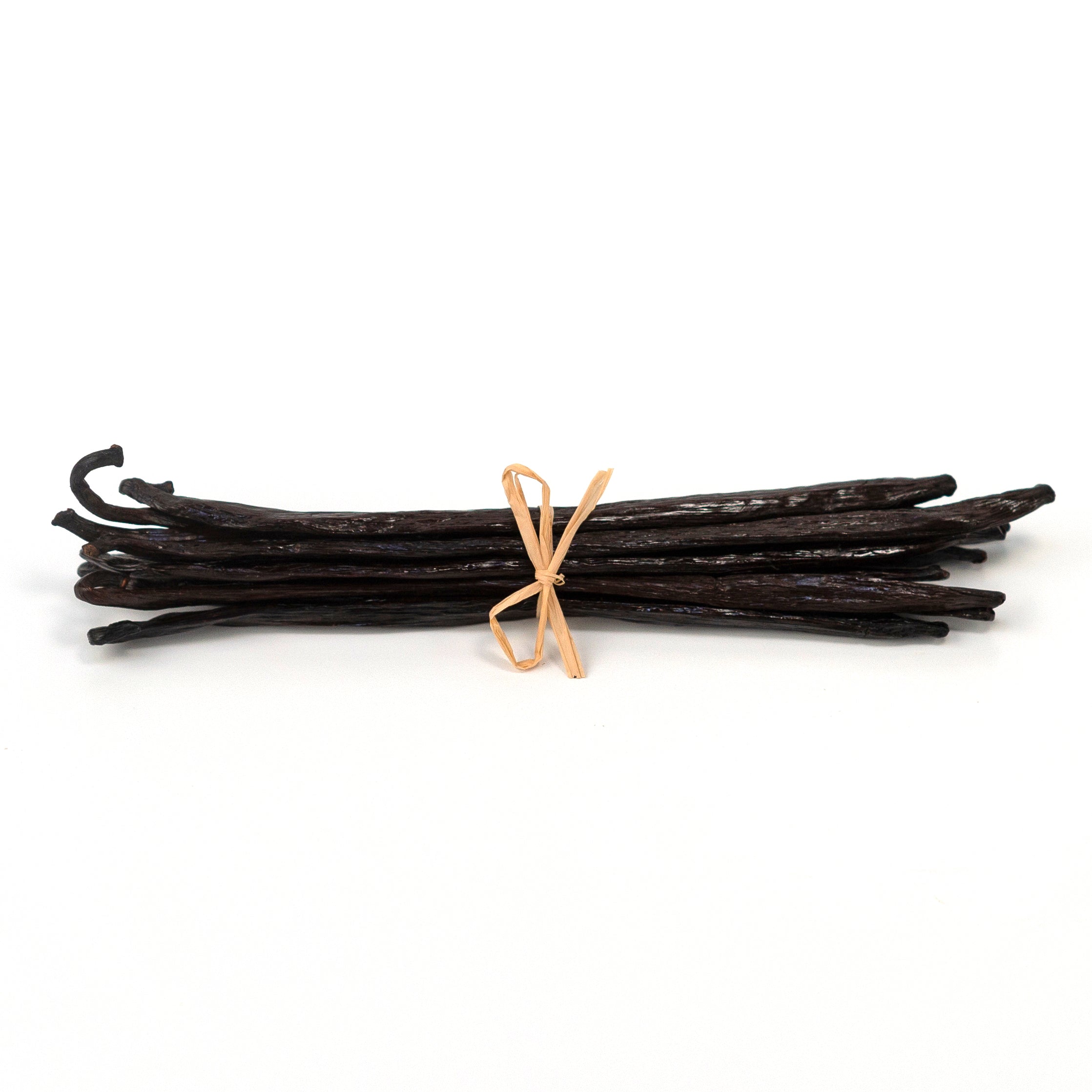 Bunch of vanilla beans tied with a rubber band on a white background