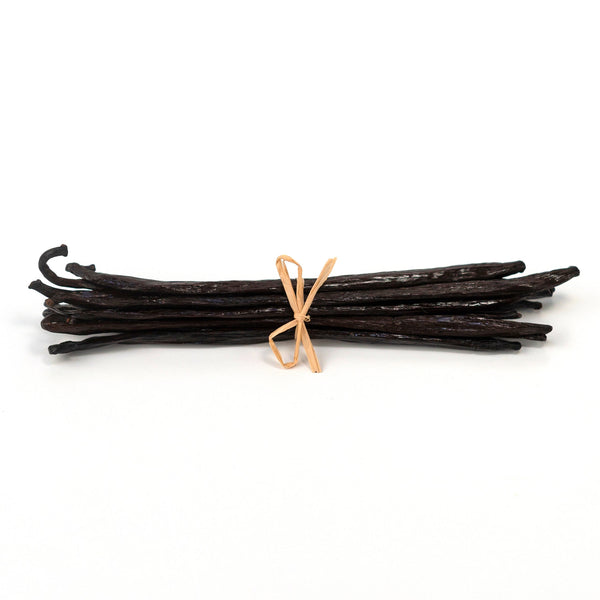 Bunch of vanilla beans tied with a rubber band on a white background