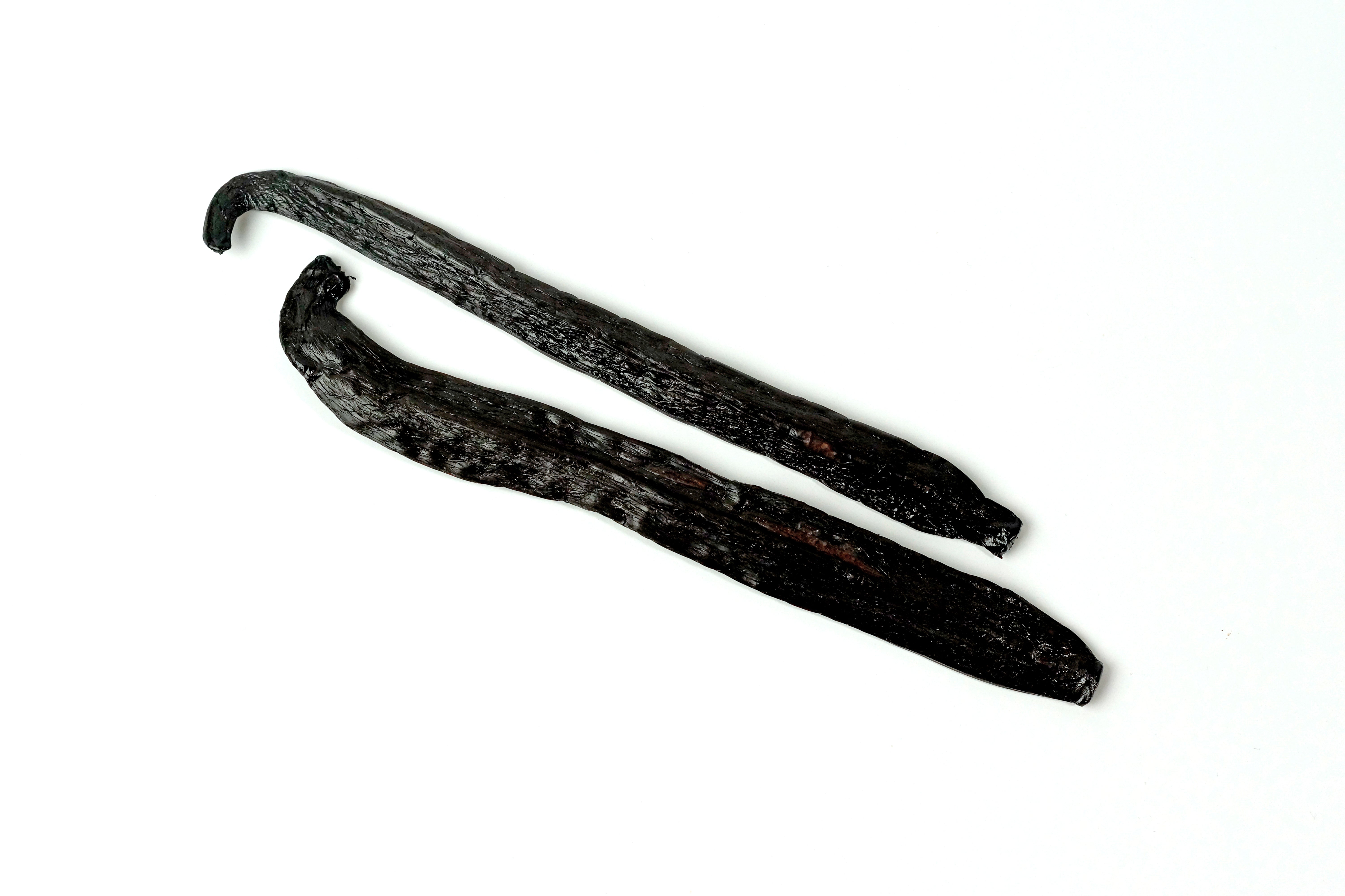 Two vanilla beans on a white background
