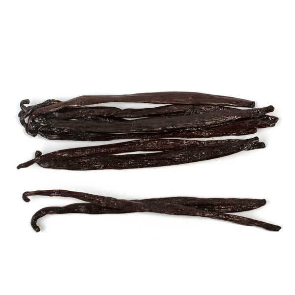 Vanilla beans on a white background