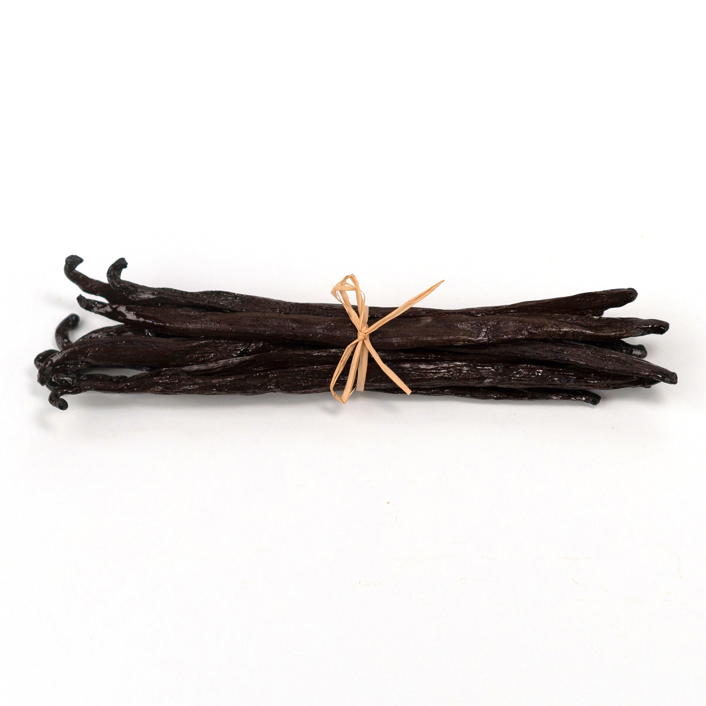 Bunch of vanilla beans tied with a string on a white background