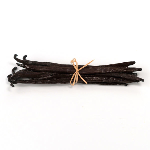 Bunch of vanilla beans tied with a string on a white background