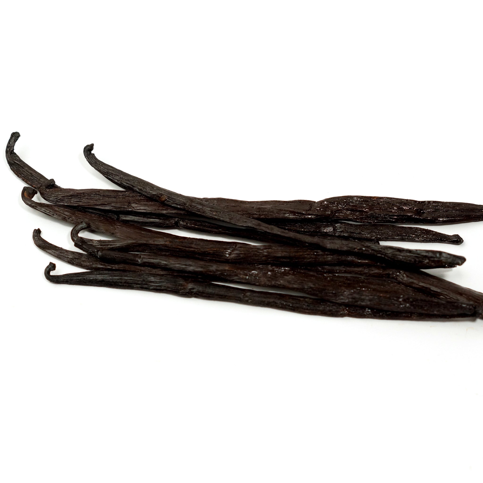 Vanilla beans on a white background