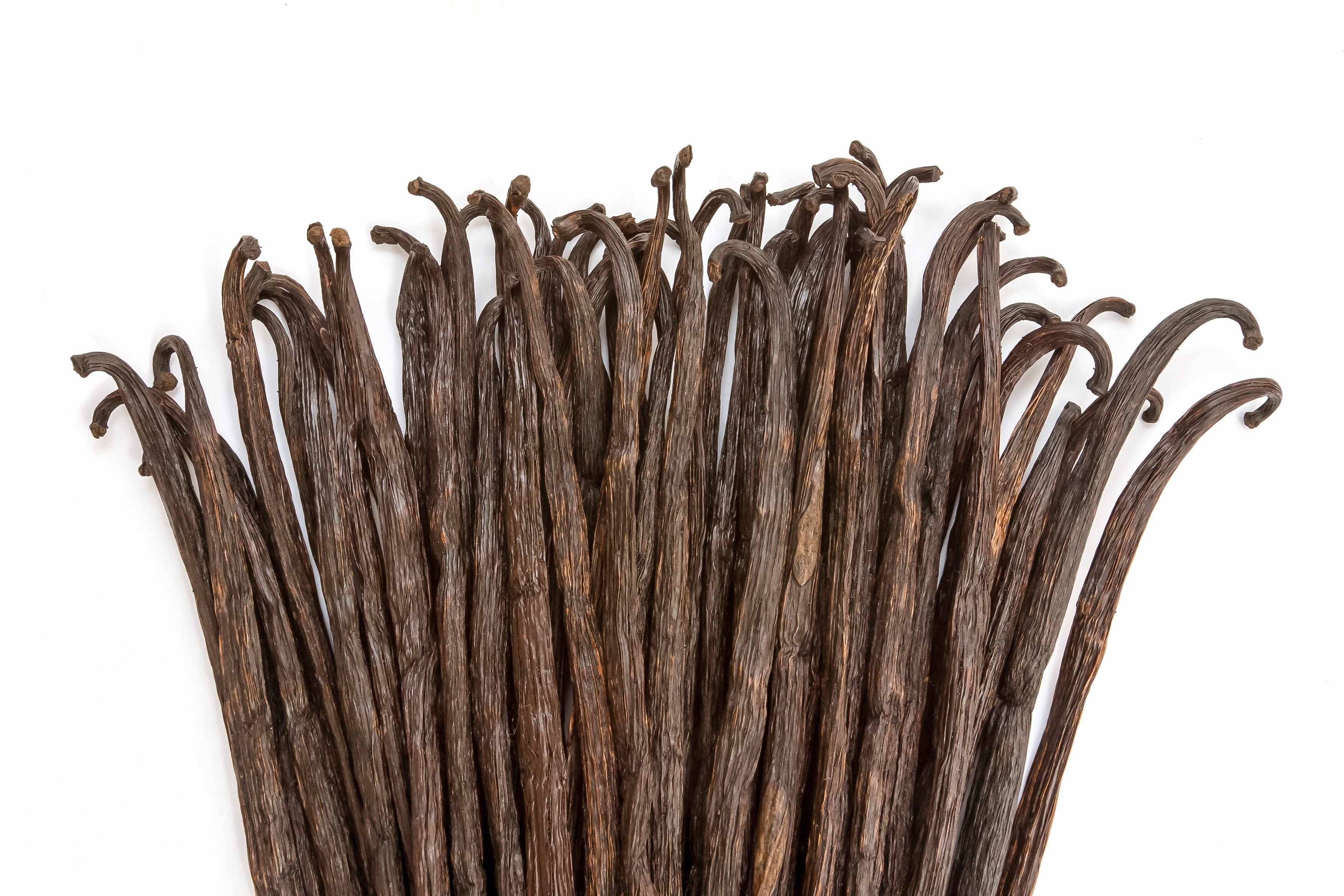 Close-up of vanilla beans on a white background