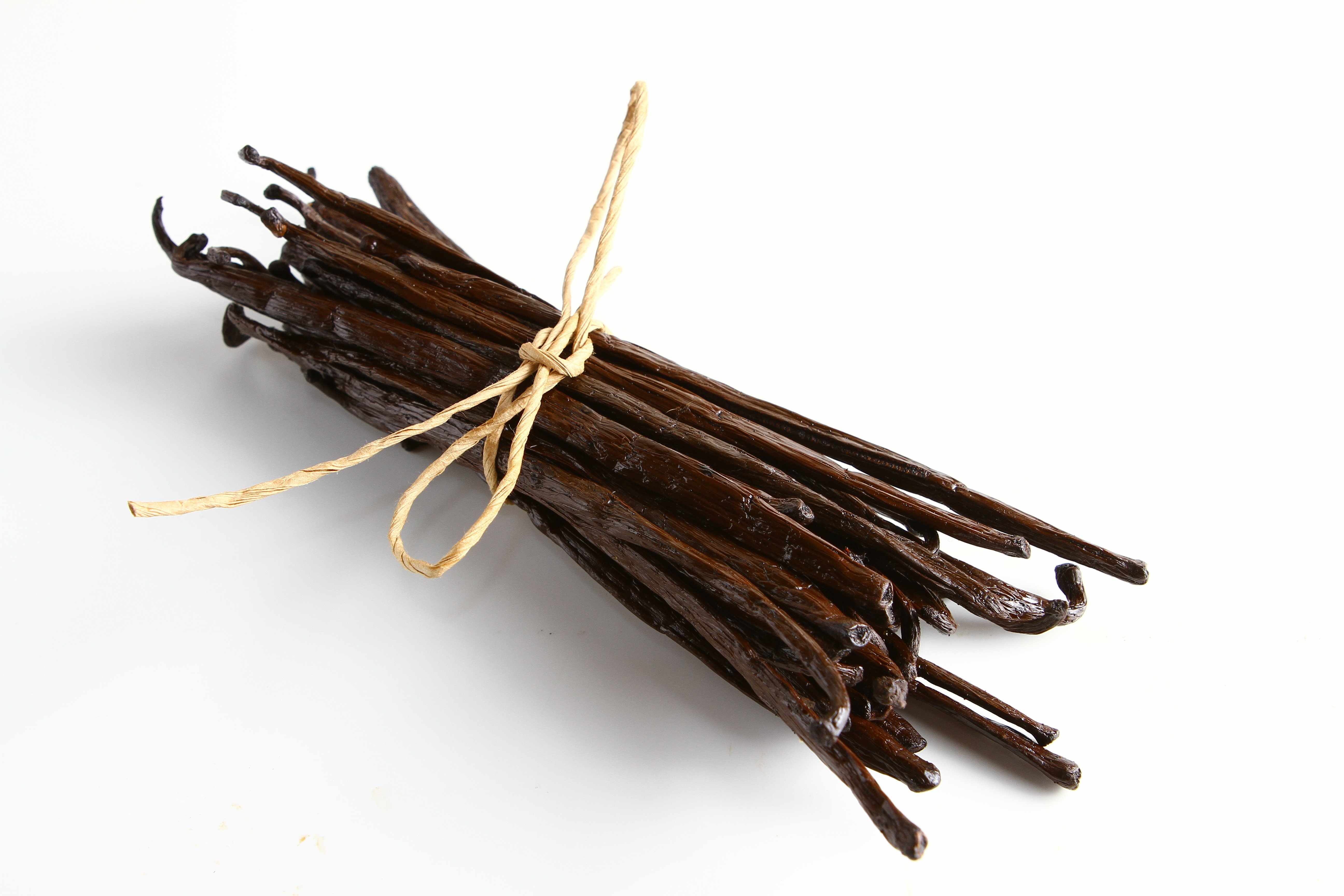 Bunch of vanilla beans tied with twine on a white background