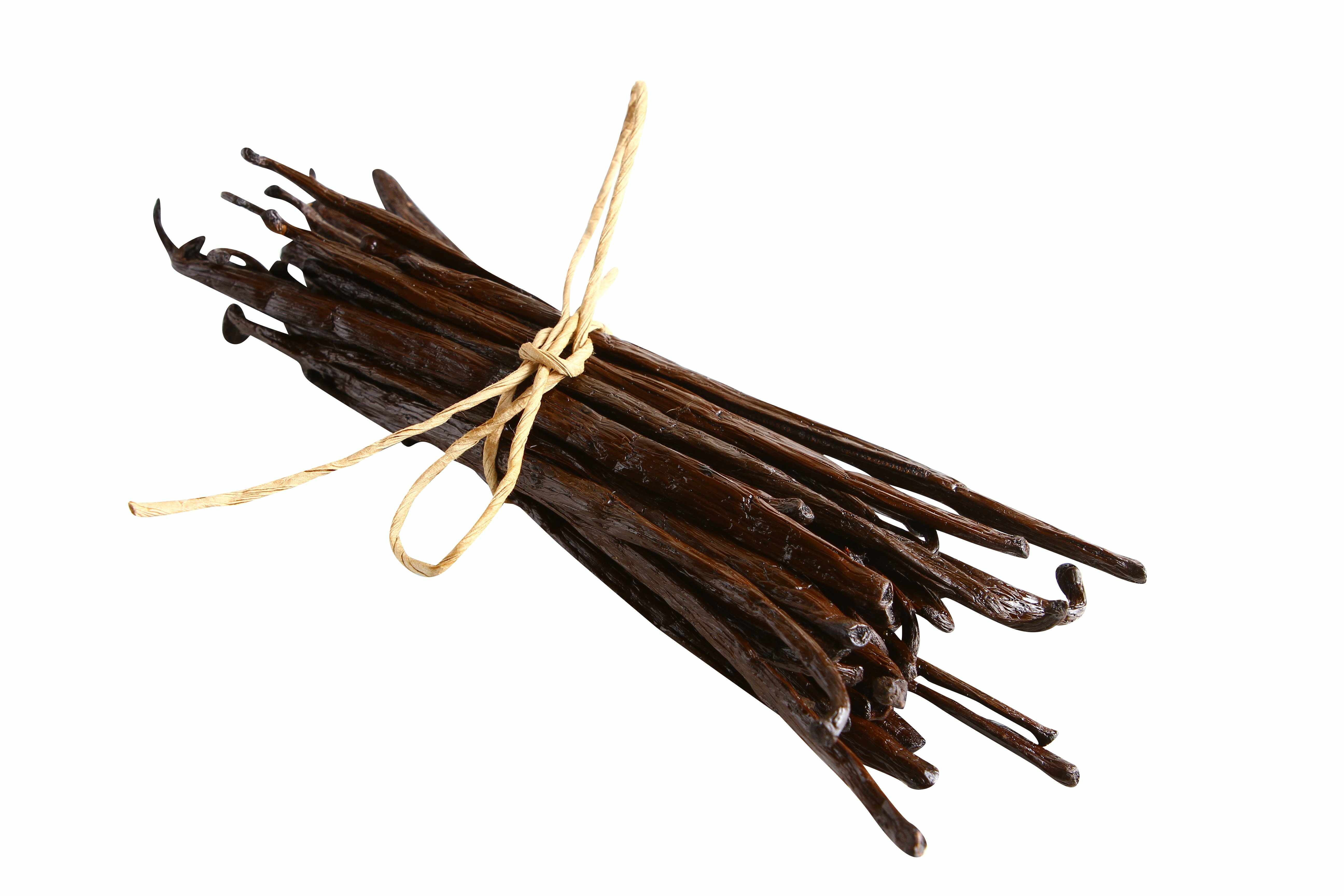 Bunch of vanilla beans tied with twine on a white background