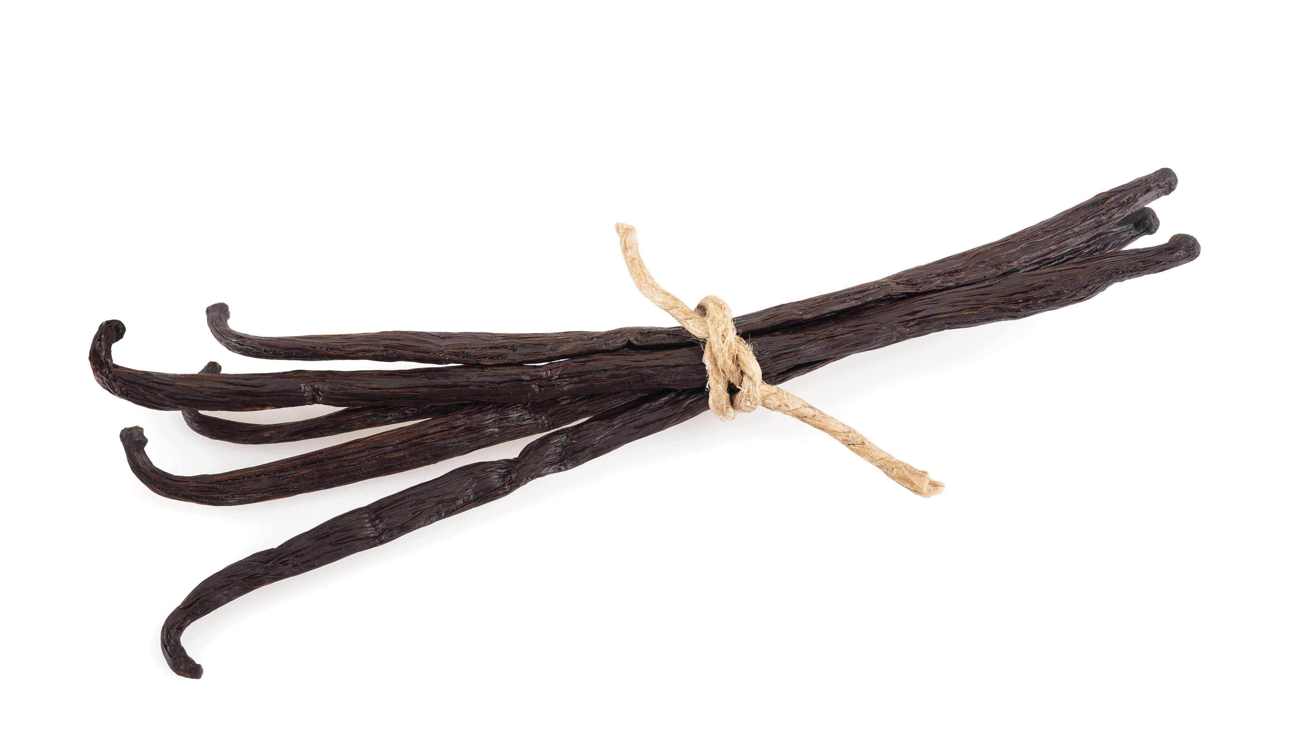 Vanilla beans tied together with a string on a white background
