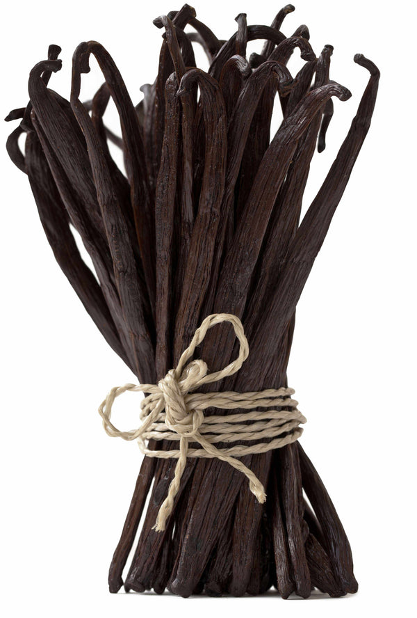 Bunch of vanilla beans tied with twine on a white background