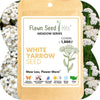 White Yarrow Seed Pouch: Create a Beautiful, Pollinator-Rich, Low-Mow Lawn