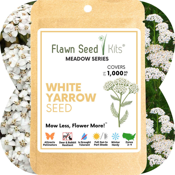 White Yarrow Seed Pouch: Create a Beautiful, Pollinator-Rich, Low-Mow Lawn