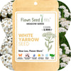 White Yarrow Seed Pouch: Create a Beautiful, Pollinator-Rich, Low-Mow Lawn