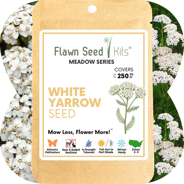 White Yarrow Seed Pouch: Create a Beautiful, Pollinator-Rich, Low-Mow Lawn