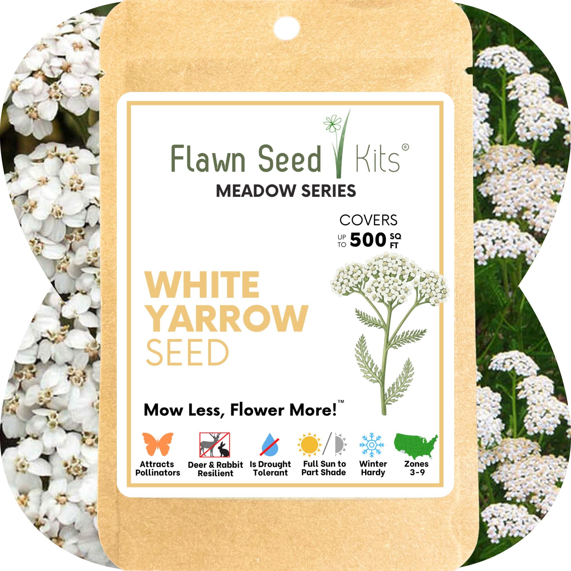 White Yarrow Seed Pouch: Create a Beautiful, Pollinator-Rich, Low-Mow Lawn