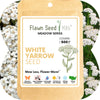White Yarrow Seed Pouch: Create a Beautiful, Pollinator-Rich, Low-Mow Lawn