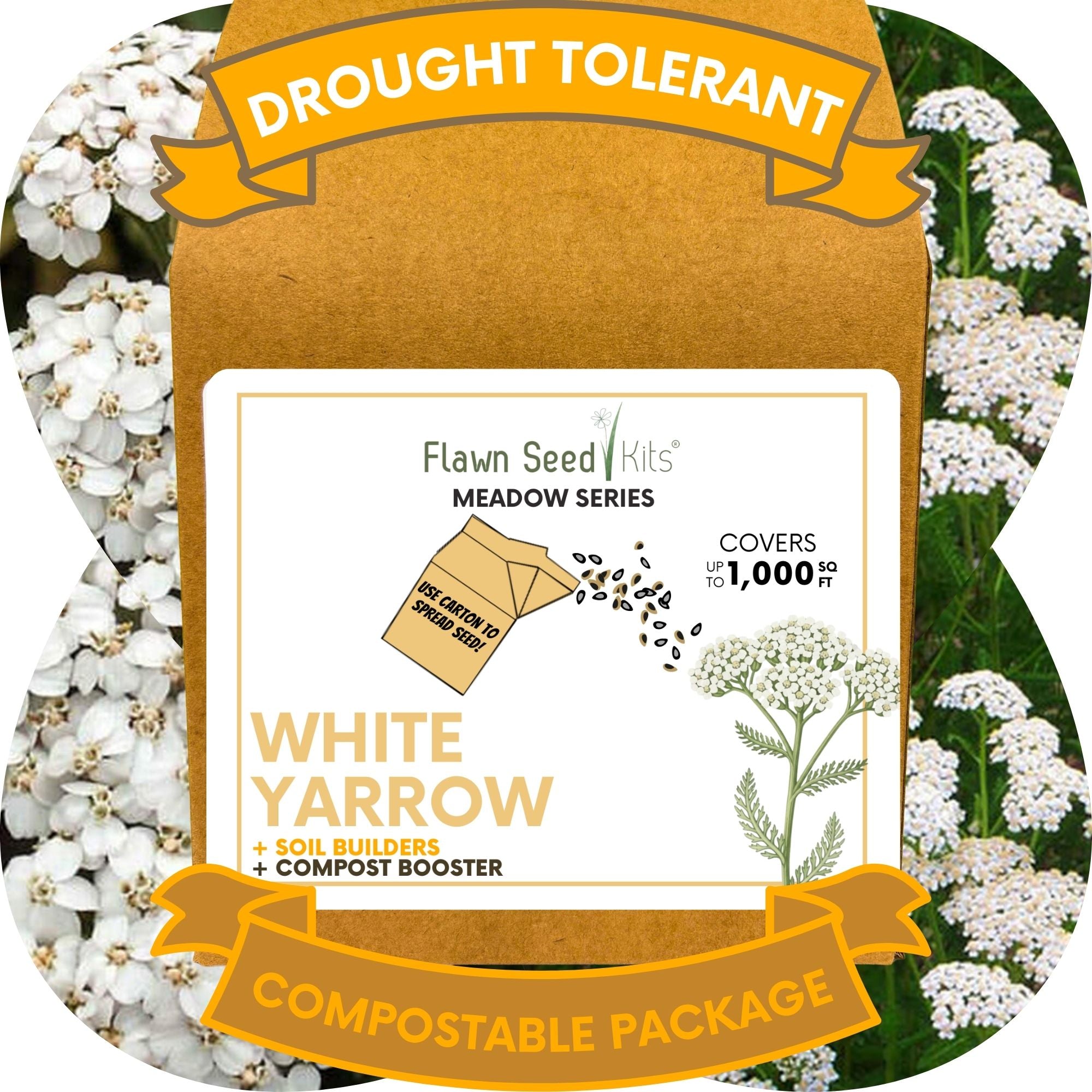 White Yarrow Eco-Friendly Seeding Kit