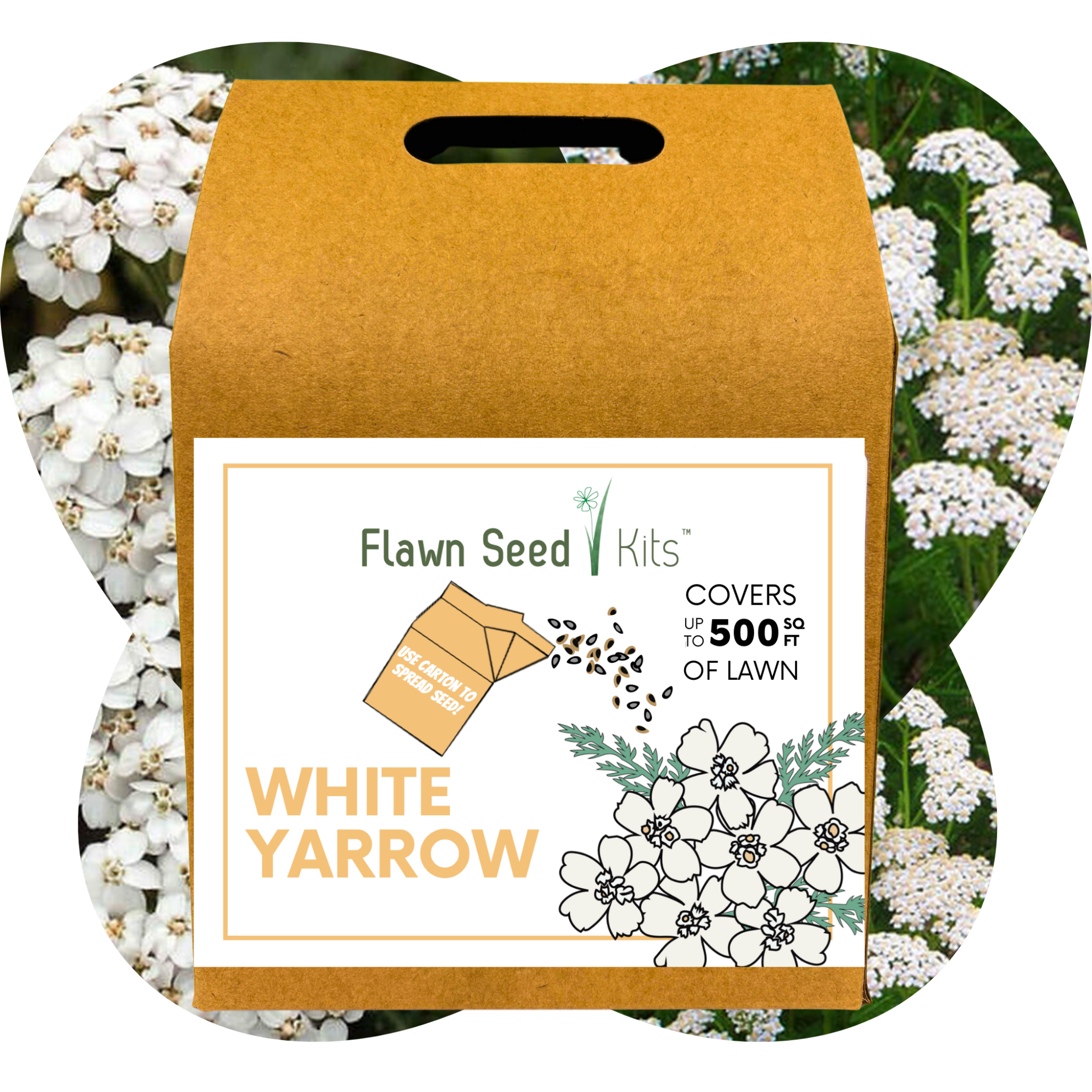 Flawn Seed Kits White Yarrow seed packet with floral background