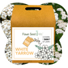Flawn Seed Kits White Yarrow seed packet with floral background