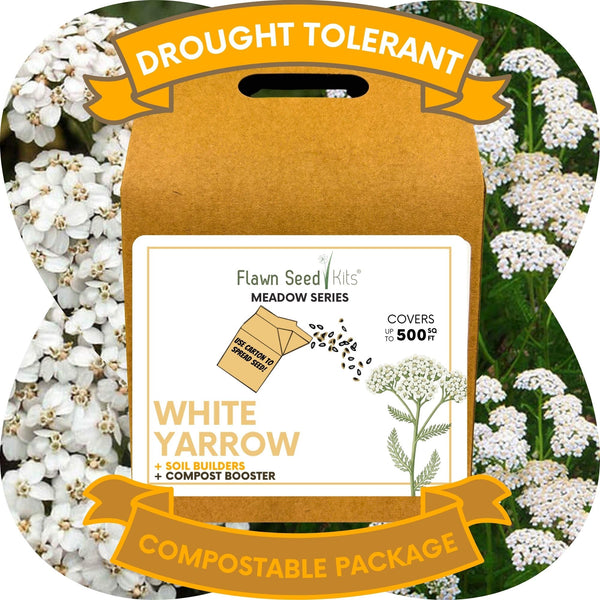 White Yarrow Eco-Friendly Seeding Kit