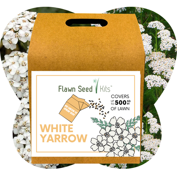 Flawn Seed Kits White Yarrow seed packet with floral background