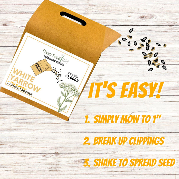 White Yarrow Eco-Friendly Seeding Kit