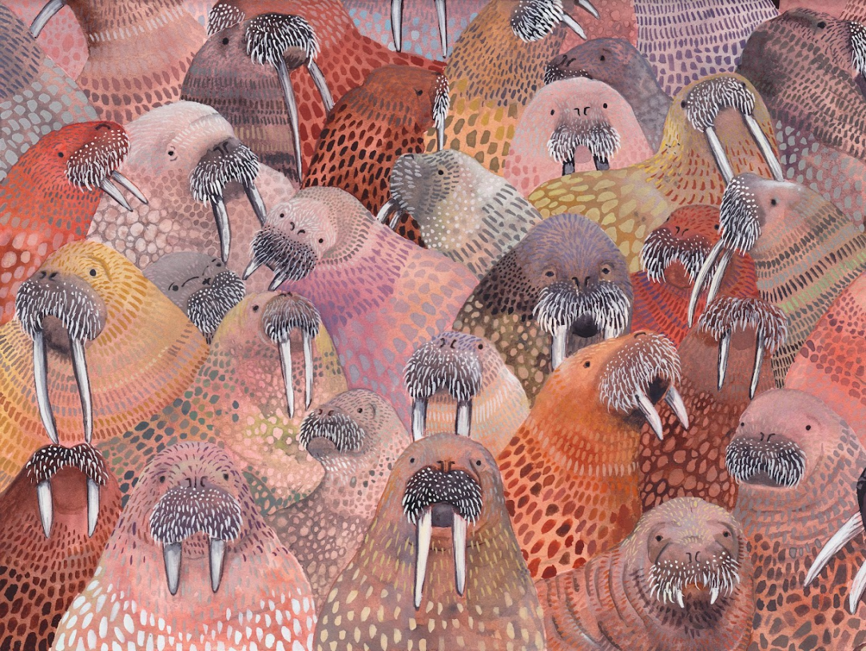 Illustration of walruses with a colorful, abstract background