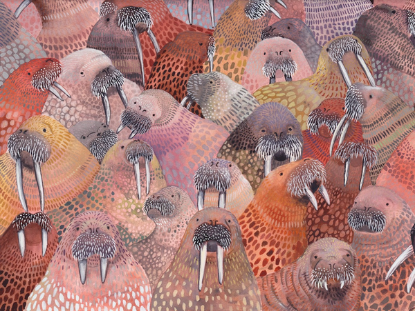 Illustration of walruses with a colorful, abstract background