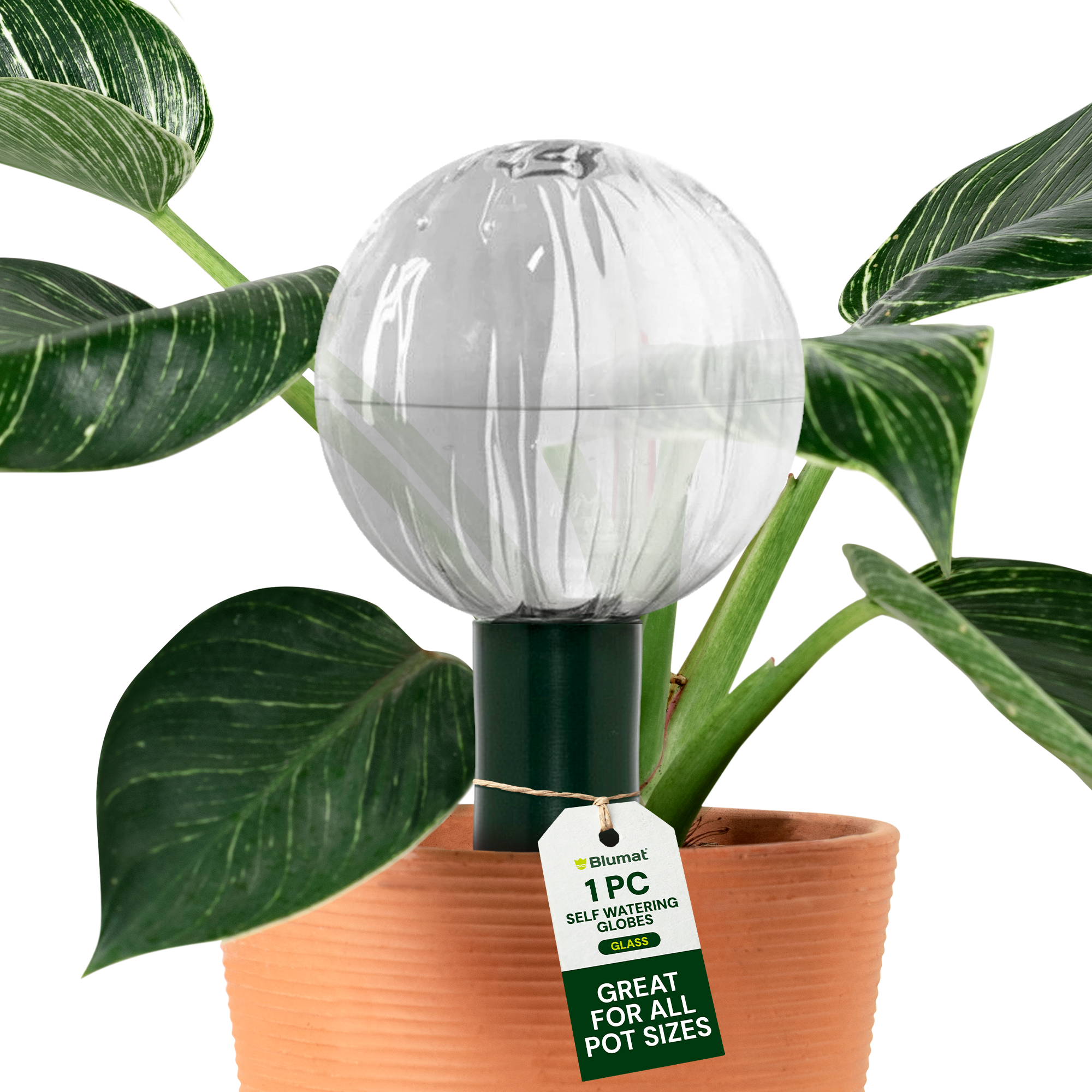 Blumat self-watering glass globe for indoor plants – front view showing globe and adapter detail